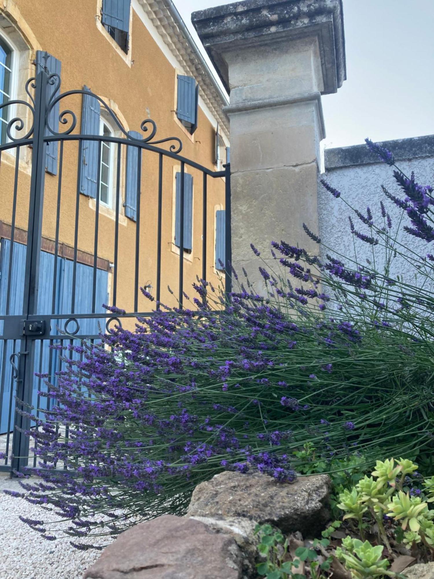 Domaine Forvent Bed & Breakfast Saint-Julien-de-Peyrolas Eksteriør bilde